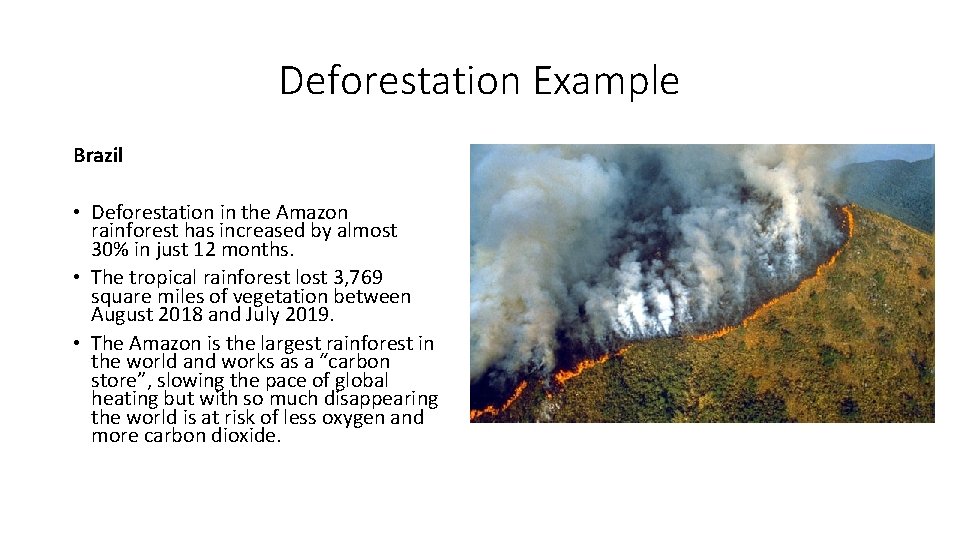 Deforestation Example Brazil • Deforestation in the Amazon rainforest has increased by almost 30%