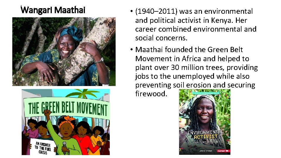 Wangari Maathai • (1940– 2011) was an environmental and political activist in Kenya. Her