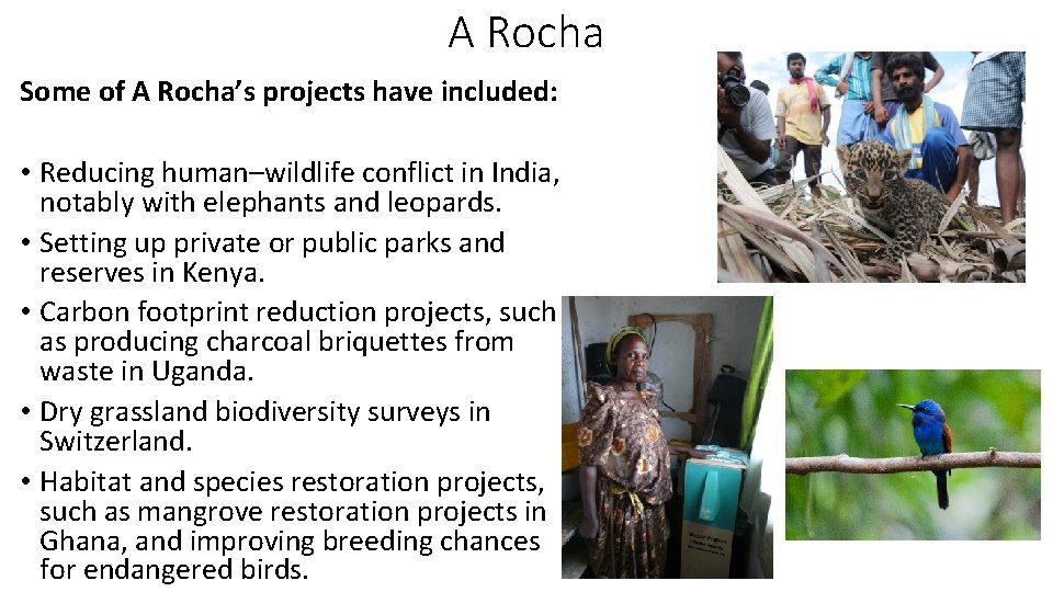 A Rocha Some of A Rocha’s projects have included: • Reducing human–wildlife conflict in