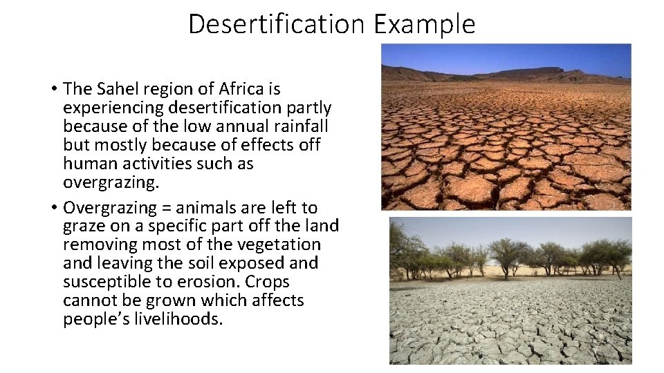 Desertification Example • The Sahel region of Africa is experiencing desertification partly because of