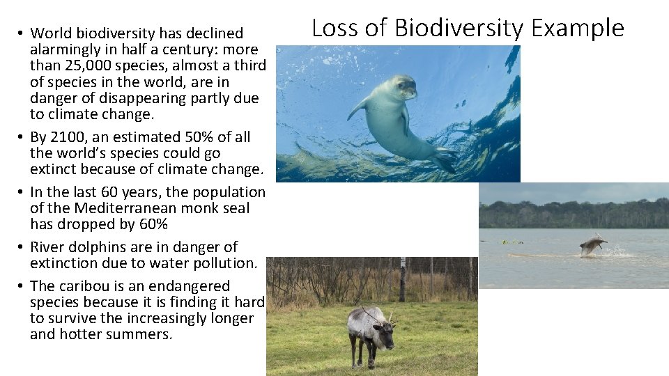  • World biodiversity has declined alarmingly in half a century: more than 25,