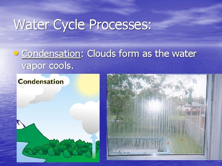 Water Cycle Processes: • Condensation: Clouds form as the water vapor cools. 