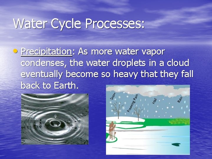 Water Cycle Processes: • Precipitation: As more water vapor condenses, the water droplets in
