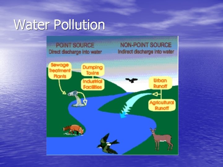 Water Pollution 