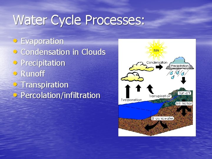Water Cycle Processes: • Evaporation • Condensation in Clouds • Precipitation • Runoff •