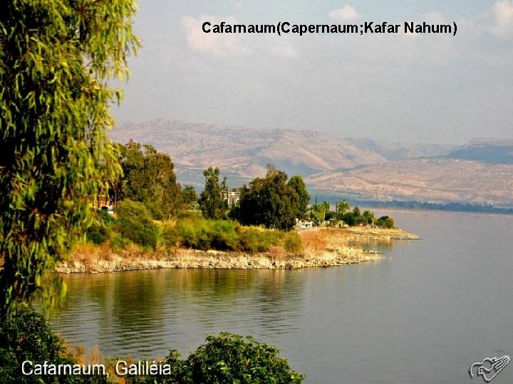 Cafarnaum(Capernaum; Kafar Nahum) 