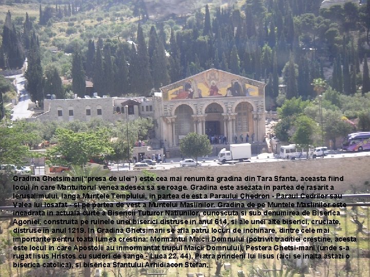 Gradina Ghetsimani(“presa de ulei“) este cea mai renumita gradina din Tara Sfanta, aceasta fiind