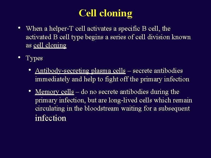 Cell cloning • When a helper-T cell activates a specific B cell, the activated
