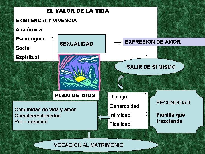 EL VALOR DE LA VIDA EXISTENCIA Y VIVENCIA Anatómica Psicológica Social EXPRESION DE AMOR