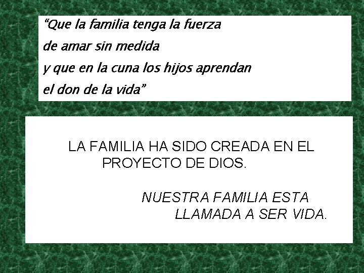 “Que la familia tenga la fuerza de amar sin medida y que en la