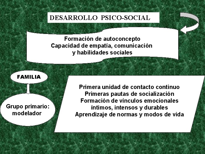 DESARROLLO PSICO-SOCIAL Formación de autoconcepto Capacidad de empatía, comunicación y habilidades sociales FAMILIA Grupo