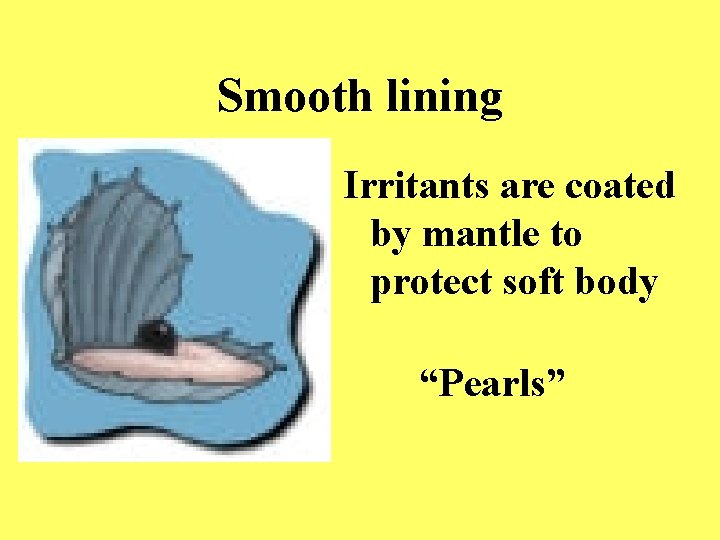 Smooth lining Irritants are coated by mantle to protect soft body “Pearls” 