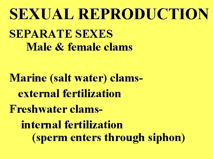 SEXUAL REPRODUCTION SEPARATE SEXES Male & female clams Marine (salt water) clamsexternal fertilization Freshwater