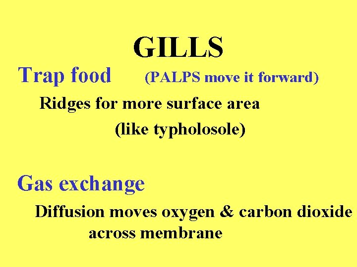 Trap food GILLS (PALPS move it forward) Ridges for more surface area (like typholosole)