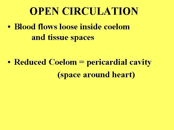 OPEN CIRCULATION • Blood flows loose inside coelom and tissue spaces • Reduced Coelom