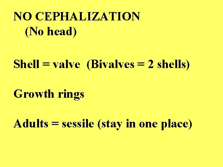 NO CEPHALIZATION (No head) Shell = valve (Bivalves = 2 shells) Growth rings Adults