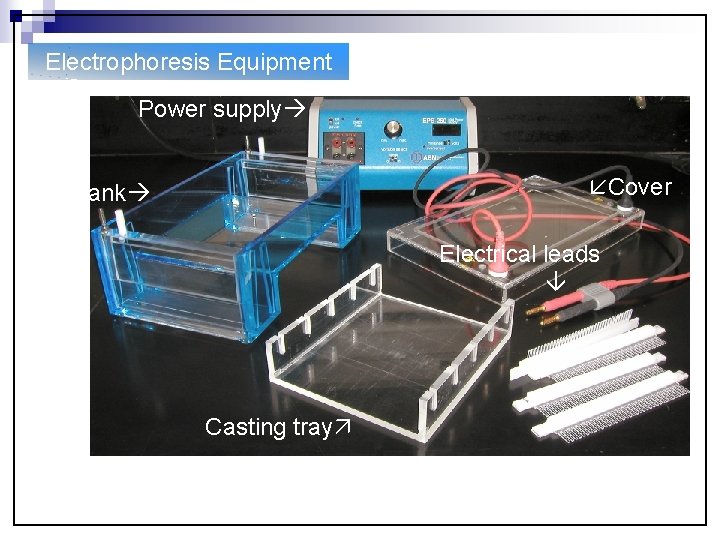 Electrophoresis Equipment Power supply Buffer Cover Gel tank Electrical leads Casting tray Gel combs