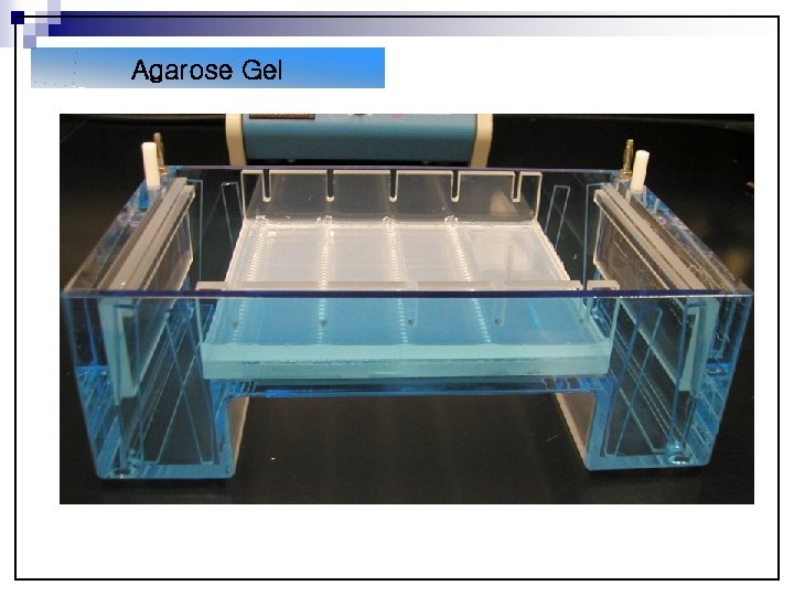 Agarose Gel Pouring the gel Buffer Agarose 