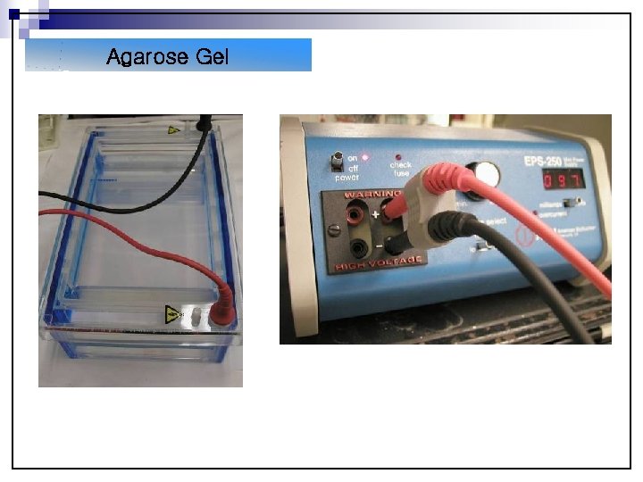 Agarose Gel Pouring the gel Buffer Agarose 