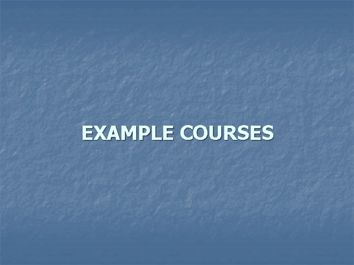 EXAMPLE COURSES 