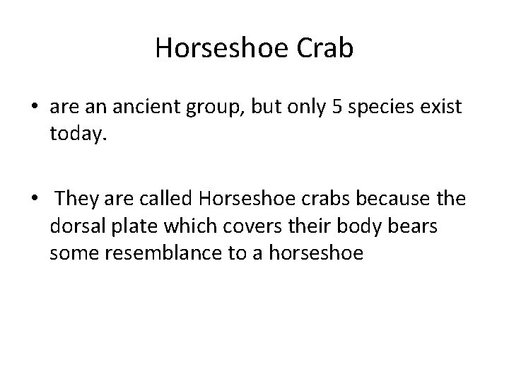 Horseshoe Crab • are an ancient group, but only 5 species exist today. •