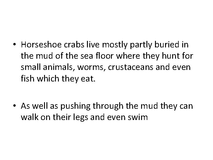  • Horseshoe crabs live mostly partly buried in the mud of the sea