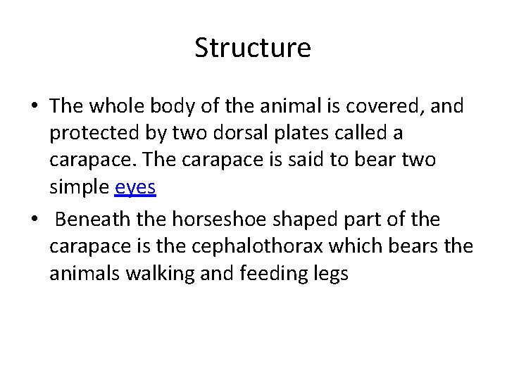 Structure • The whole body of the animal is covered, and protected by two