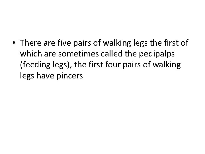  • There are five pairs of walking legs the first of which are