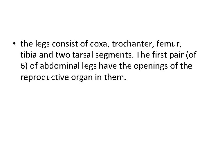  • the legs consist of coxa, trochanter, femur, tibia and two tarsal segments.