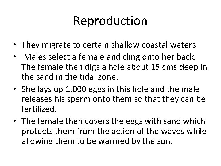 Reproduction • They migrate to certain shallow coastal waters • Males select a female