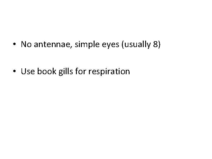  • No antennae, simple eyes (usually 8) • Use book gills for respiration