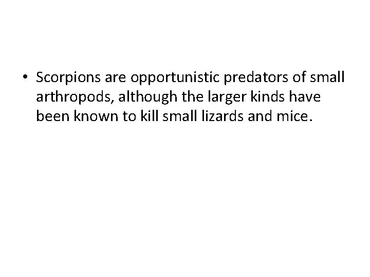  • Scorpions are opportunistic predators of small arthropods, although the larger kinds have