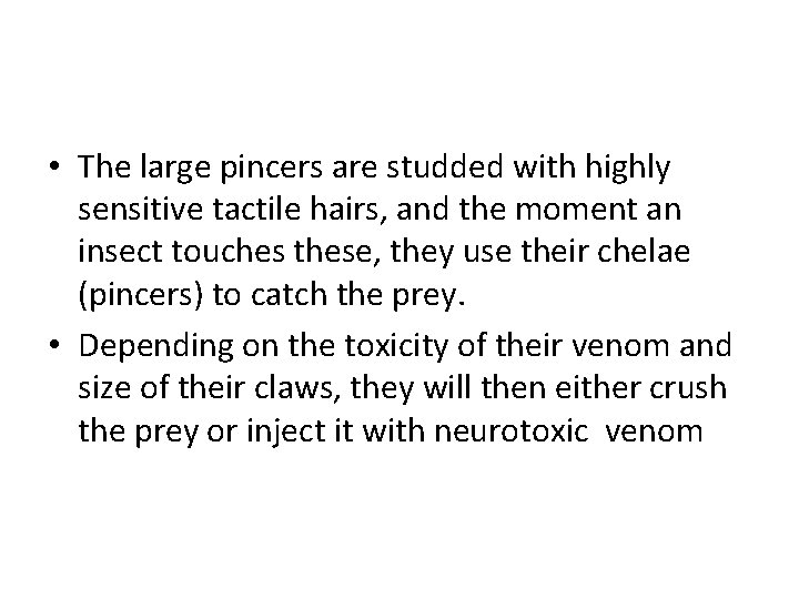  • The large pincers are studded with highly sensitive tactile hairs, and the