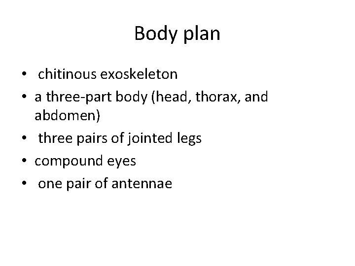 Body plan • chitinous exoskeleton • a three-part body (head, thorax, and abdomen) •
