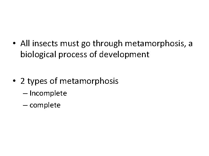  • All insects must go through metamorphosis, a biological process of development •