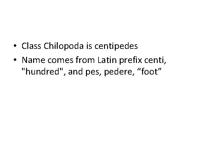  • Class Chilopoda is centipedes • Name comes from Latin prefix centi, "hundred",