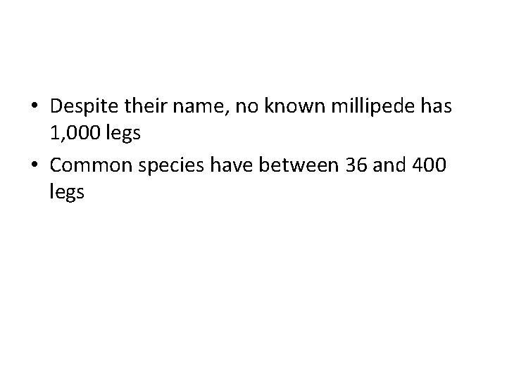  • Despite their name, no known millipede has 1, 000 legs • Common