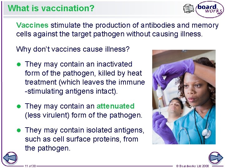 What is vaccination? Vaccines stimulate the production of antibodies and memory cells against the