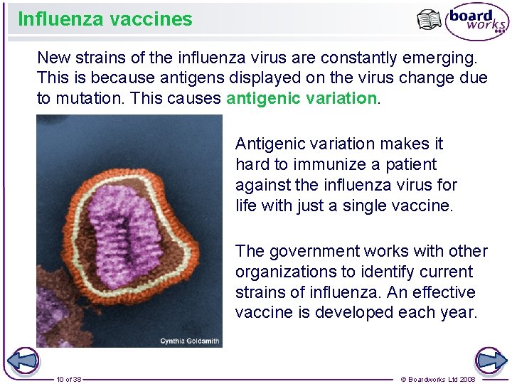 Influenza vaccines New strains of the influenza virus are constantly emerging. This is because