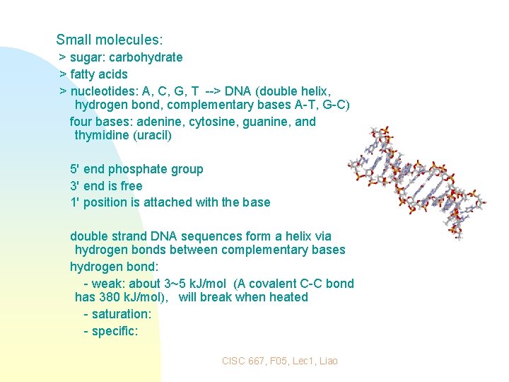 Small molecules: > sugar: carbohydrate > fatty acids > nucleotides: A, C, G, T