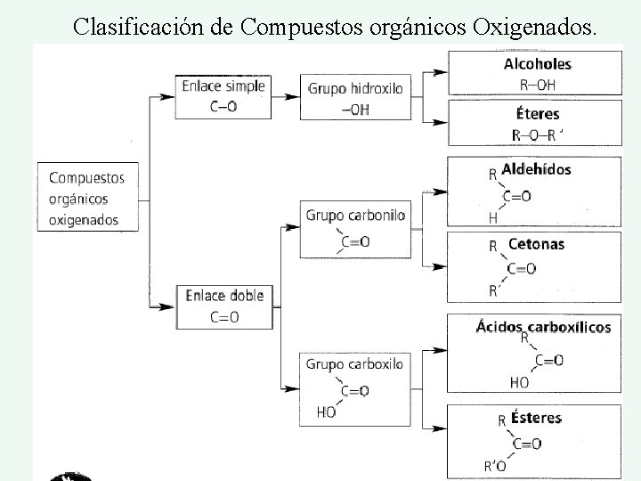 Clasificación de Compuestos orgánicos Oxigenados. 45 
