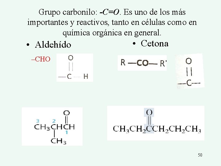 Grupo carbonilo: -C=O. Es uno de los más importantes y reactivos, tanto en células