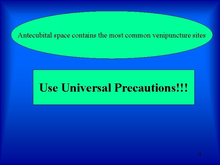 Antecubital space contains the most common venipuncture sites Use Universal Precautions!!! 24 Antecubital space contains the most common venipuncture sites Use Universal Precautions!!! 24