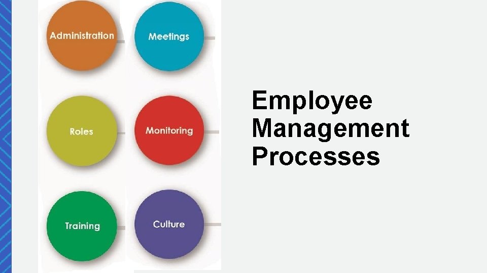 Employee Management Processes 