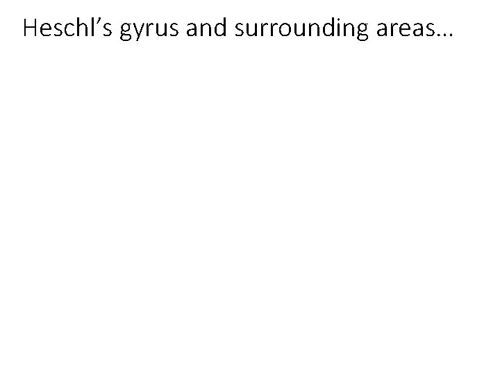 Heschl’s gyrus and surrounding areas… 