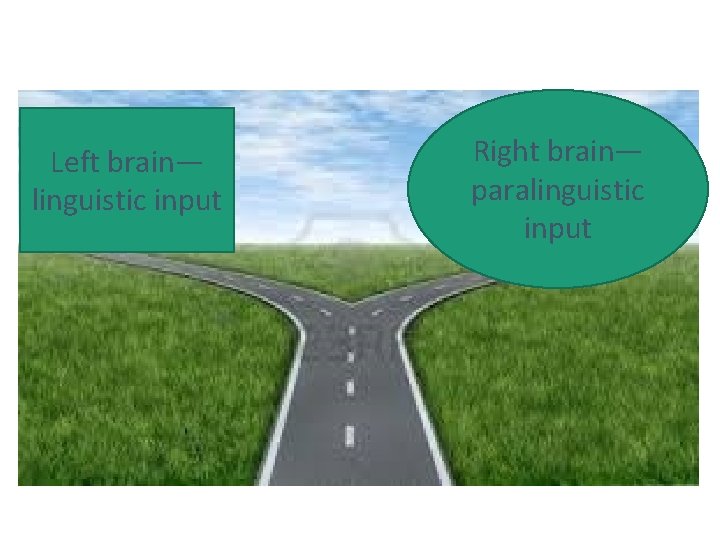 Left brain— linguistic input Right brain— paralinguistic input 