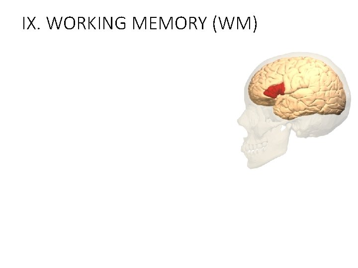 IX. WORKING MEMORY (WM) 