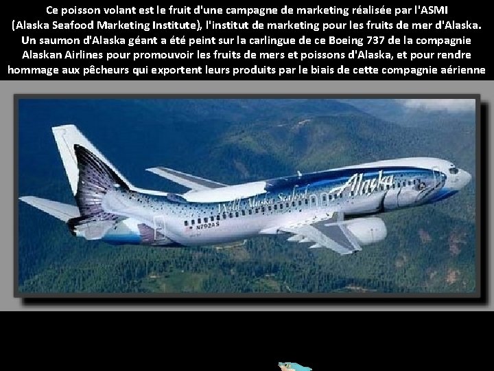 Ce poisson volant est le fruit d'une campagne de marketing réalisée par l'ASMI (Alaska