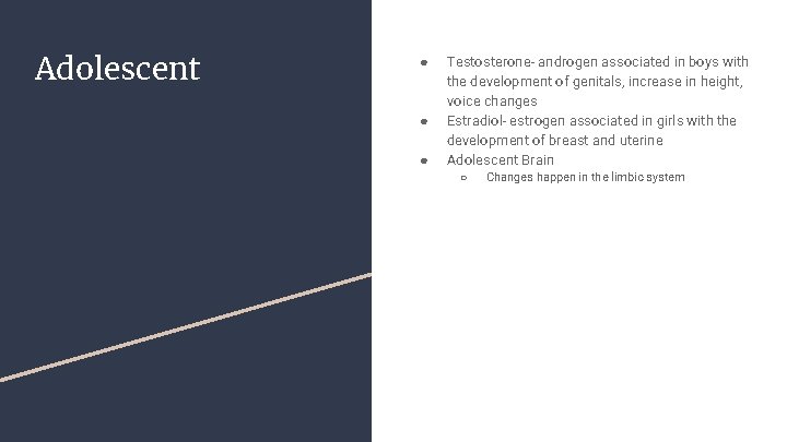 Adolescent ● ● ● Testosterone- androgen associated in boys with the development of genitals,