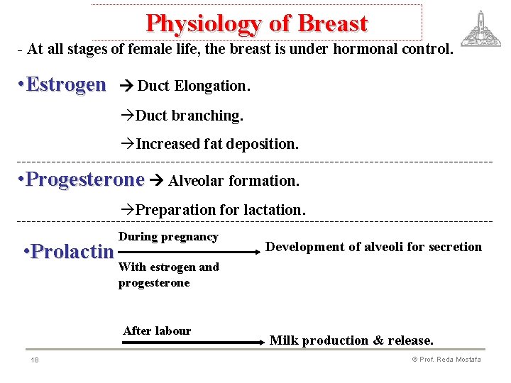 Physiology of Breast - At all stages of female life, the breast is under